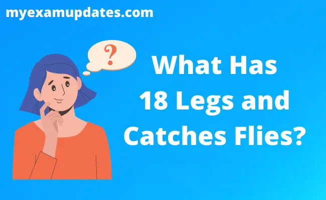 What Has 18 Legs and Catches Flies