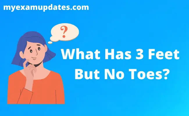 What Has 3 Feet But No Toes?
