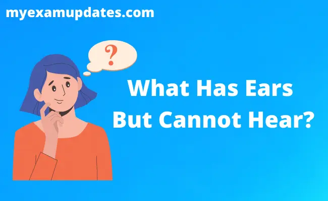 What Has Ears But Cannot Hear?