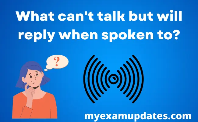 What can't talk but will reply when spoken to?