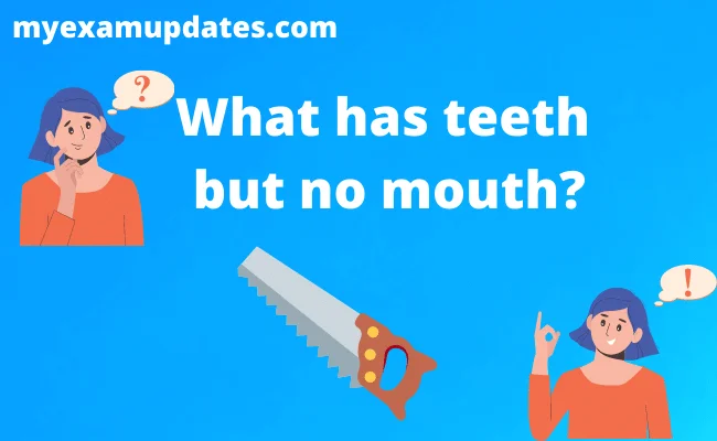 What has teeth but no mouth answer
