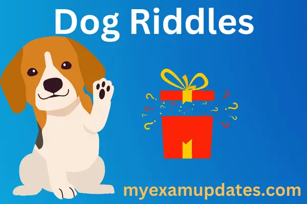 dog-riddles