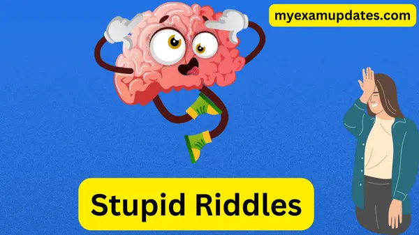 Stupid-Riddles